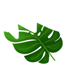 bottom icon